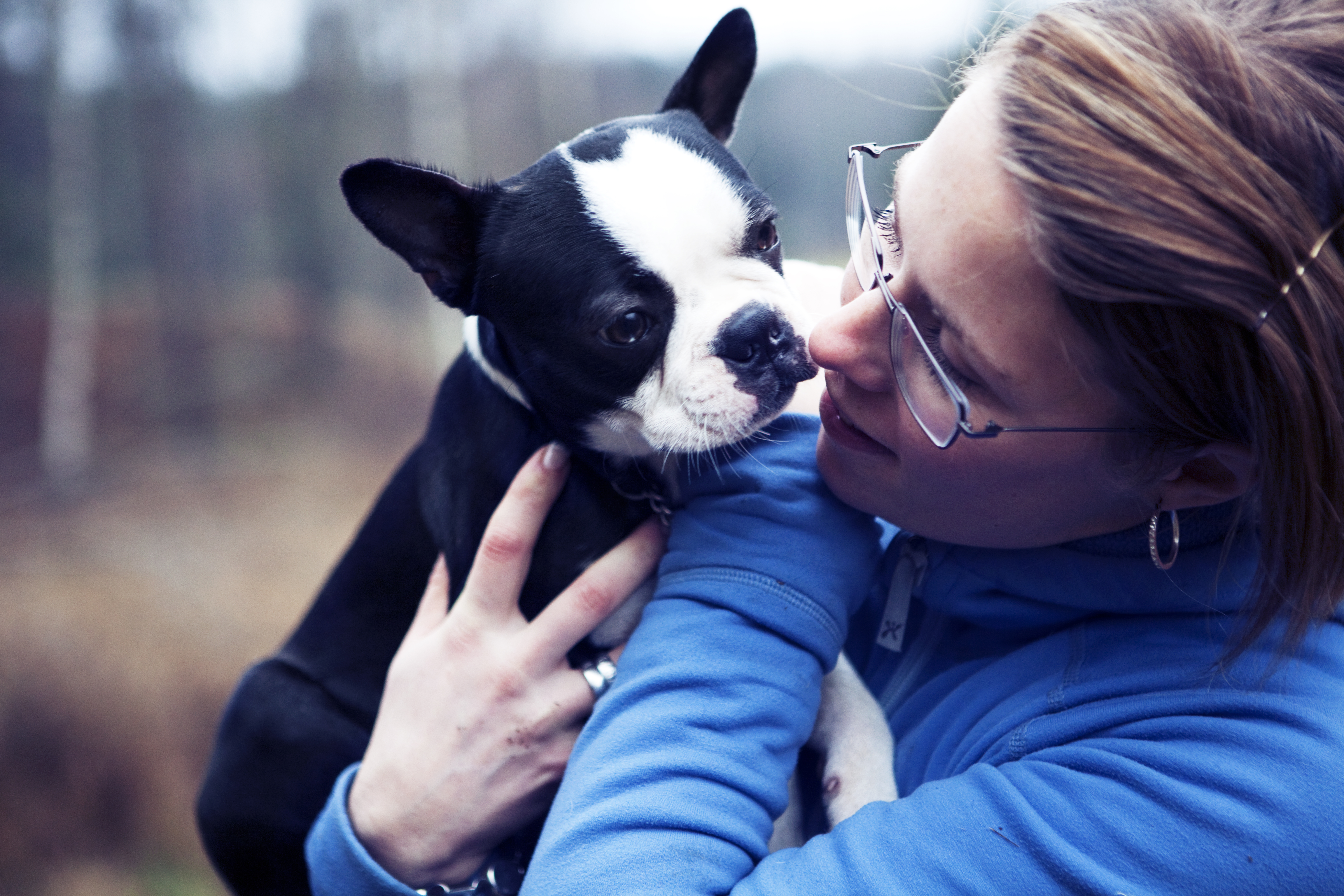 Text och bilder från Härliga Hund