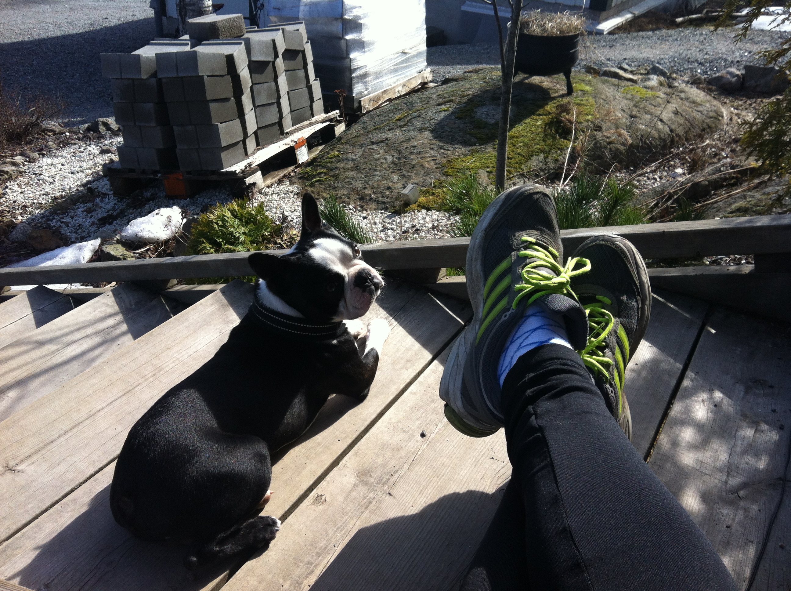 Springträning