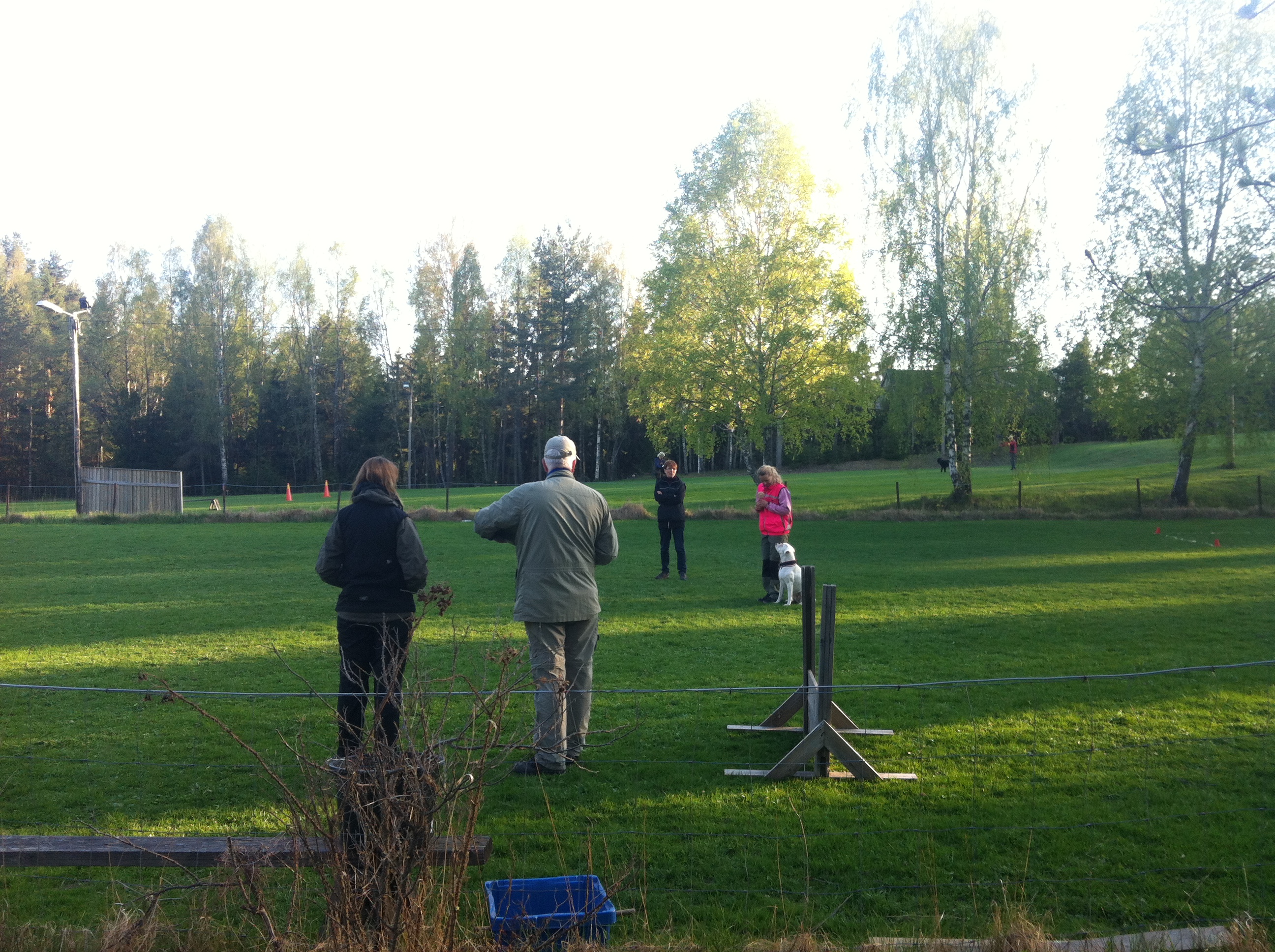 Tävlingsträning